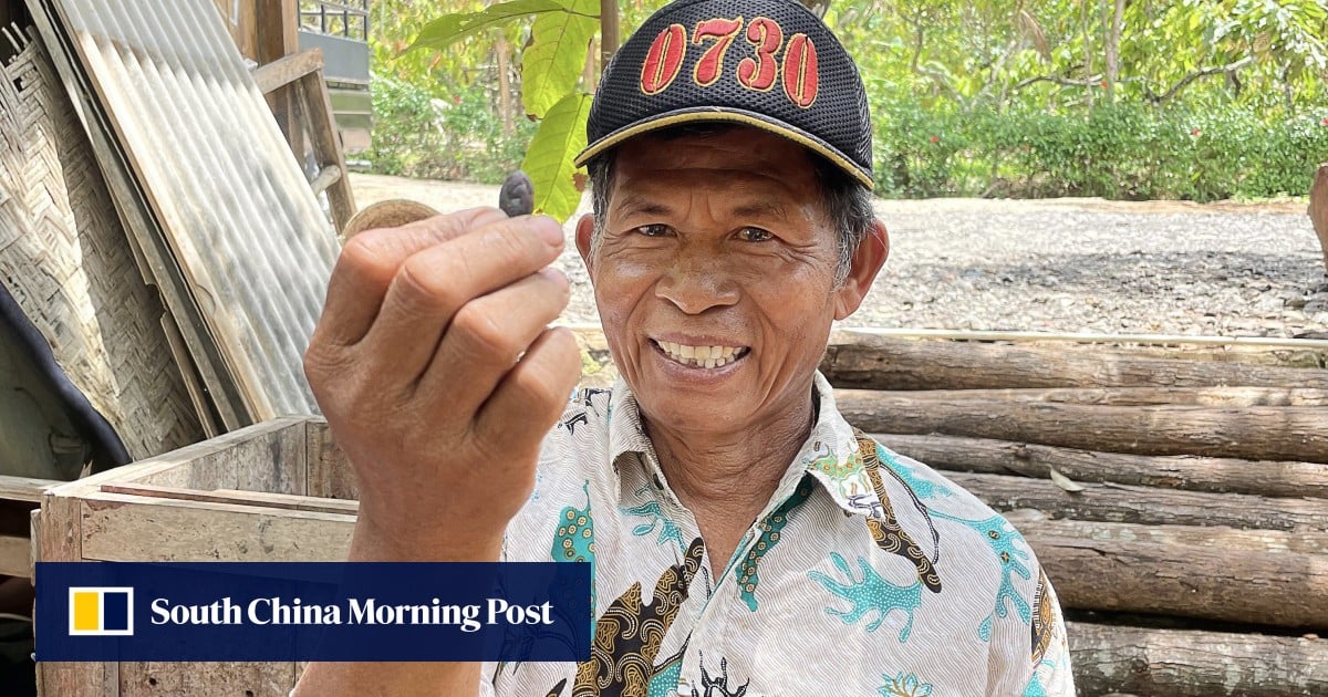 Model pariwisata baru: bagaimana desa Nglanggeran di Indonesia dijalankan oleh penduduk setempat, menawarkan berbagai pengalaman otentik